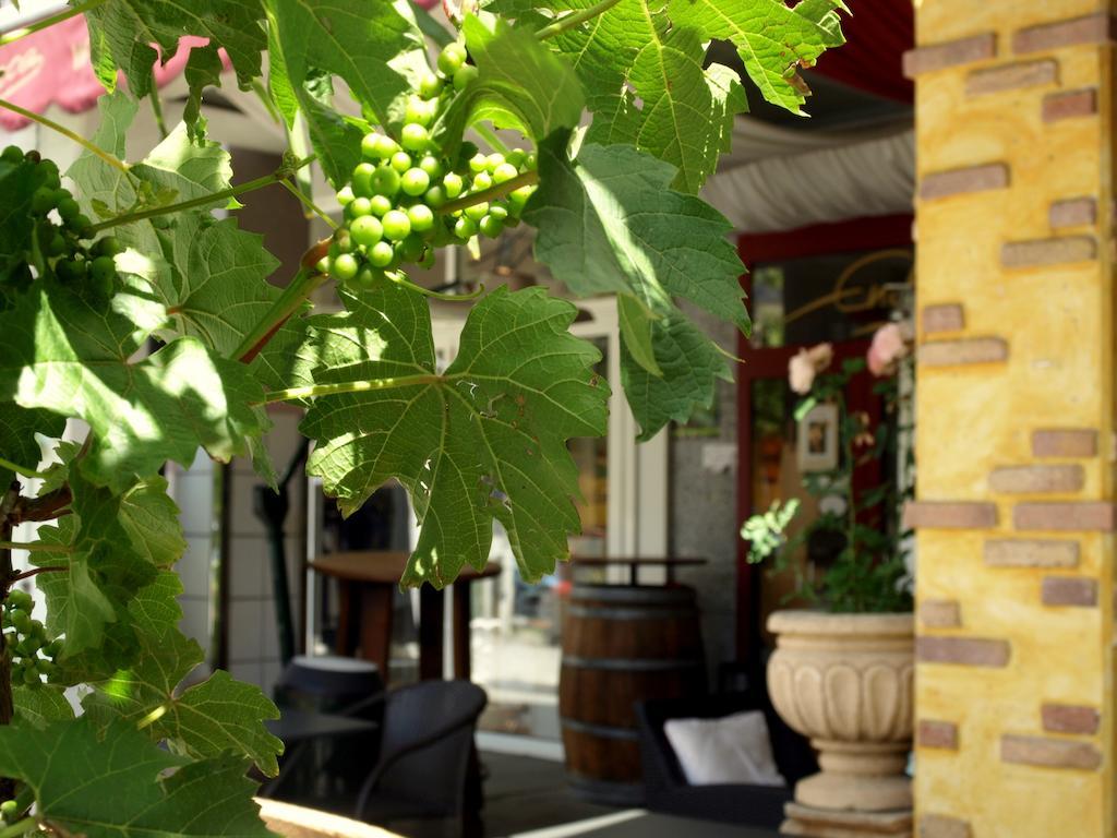 Hotel Ristorante La Terrazza Planegg Kültér fotó